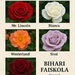 Bihari Faiskola Gyümölcsfa termesztés